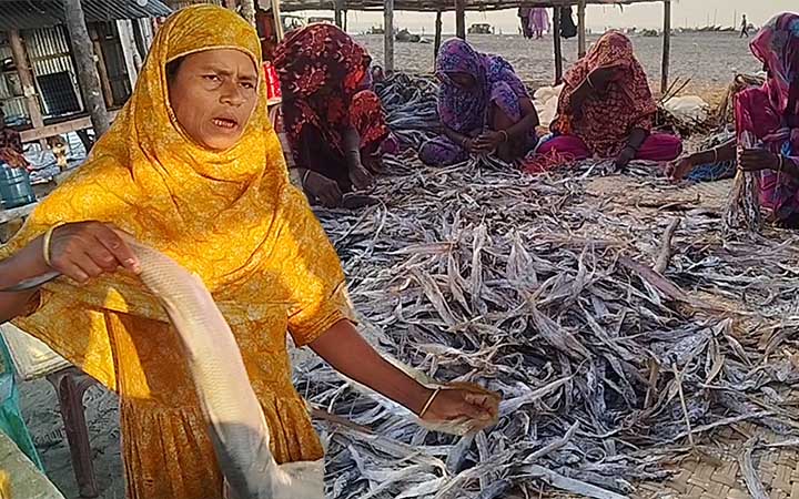 কুয়াকাটার শুটকি পল্লী নারীদের জীবিকার উৎস